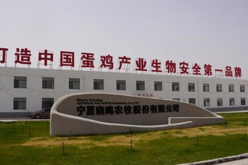 曉鳴,閩寧鎮(zhèn)成長(zhǎng)起來(lái)的企業(yè)敲響上市鐘聲